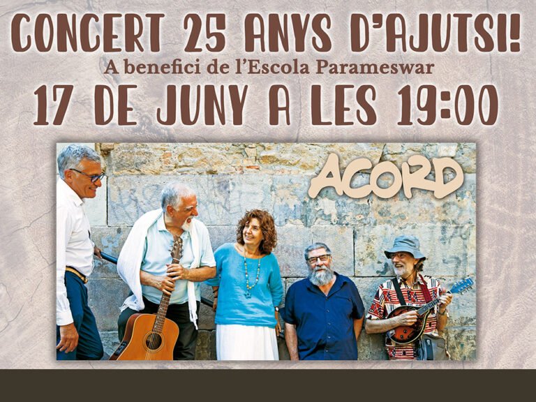 Concert dels 25 anys d'Ajutsi